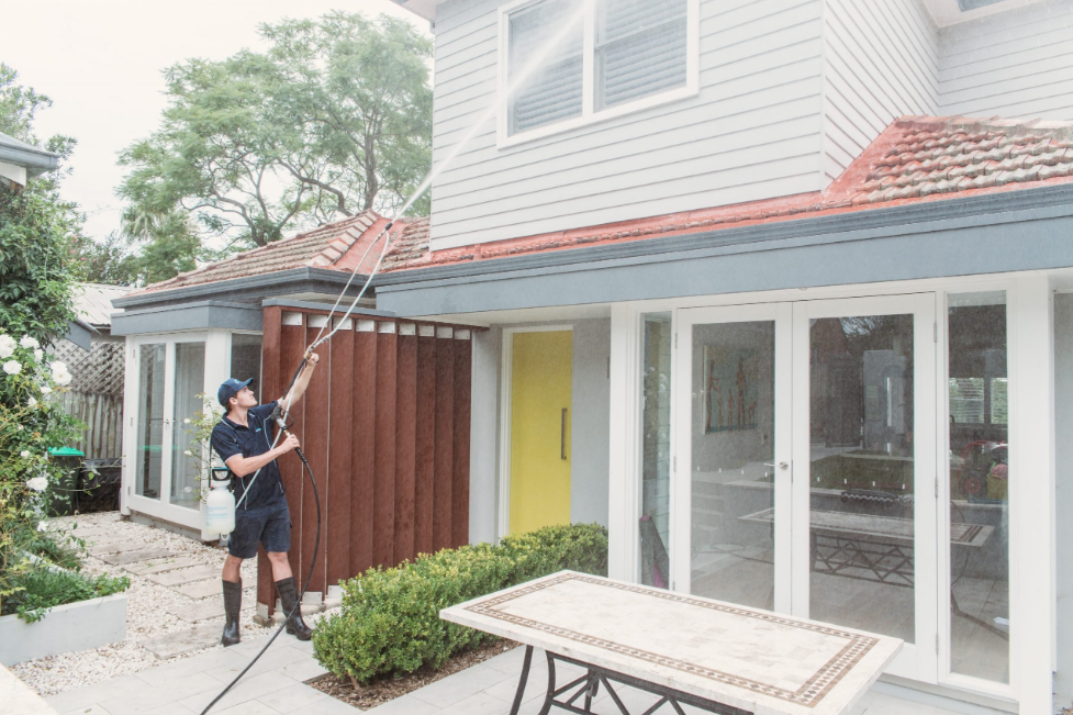 Exterior house cleaning in Tauranga