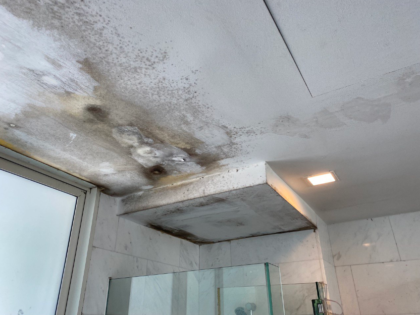 bathroom mould